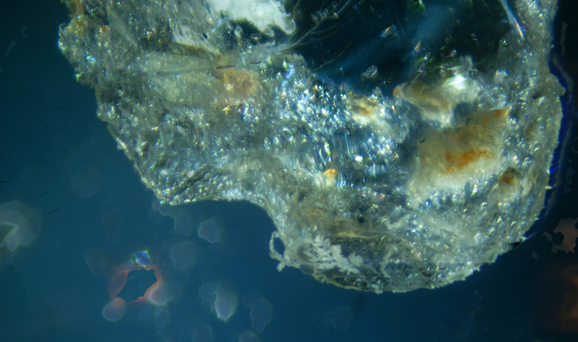 Fluorite mineral specimen — Fluorite, Nikon D3000, polarized optical microscope, focus stacking image