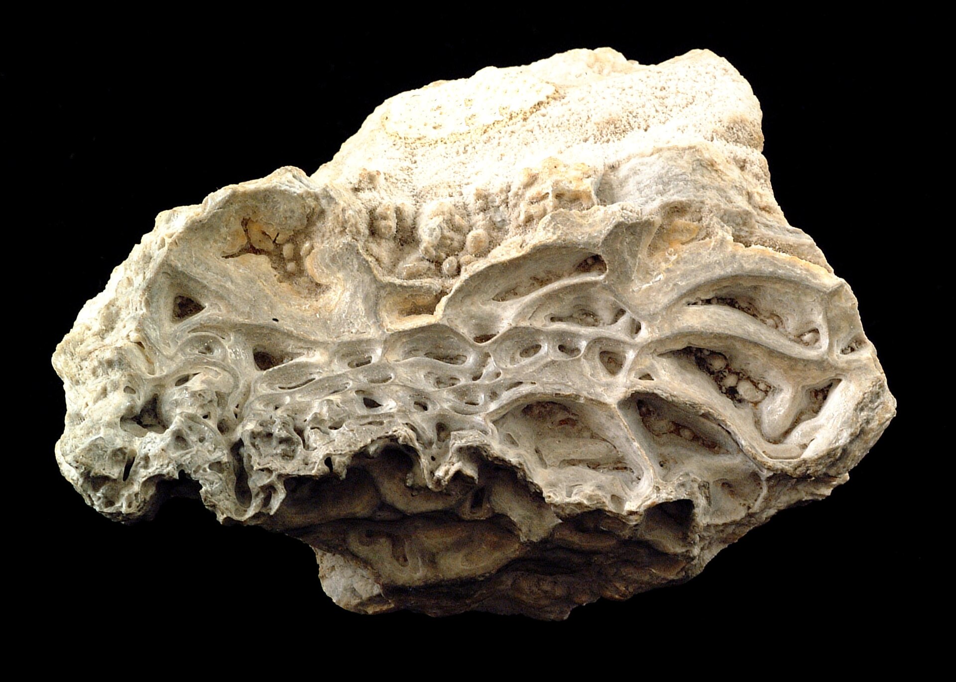 Opal mineral specimen — This specimen, 10 cm across, contains both opal and chalcedony. Opal generally shows a “play of colo