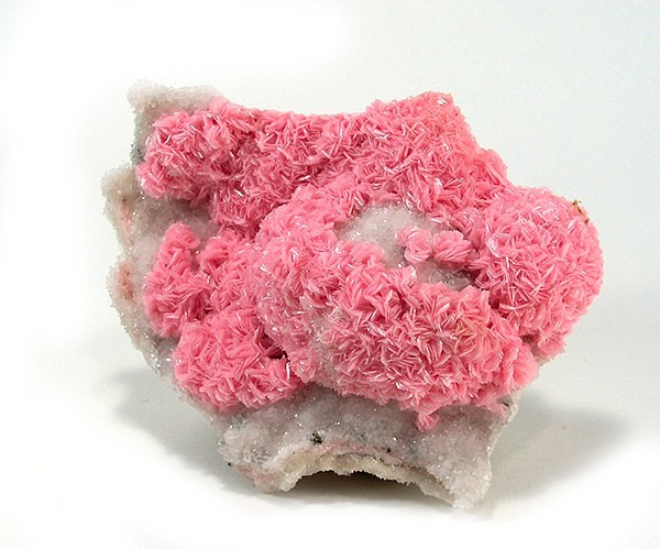 Rhodochrosite mineral specimen — Rhodochrosite, Quartz Locality: Cavnic (Kapnic; Kapnik), Maramures County, Romania (Locality at mind