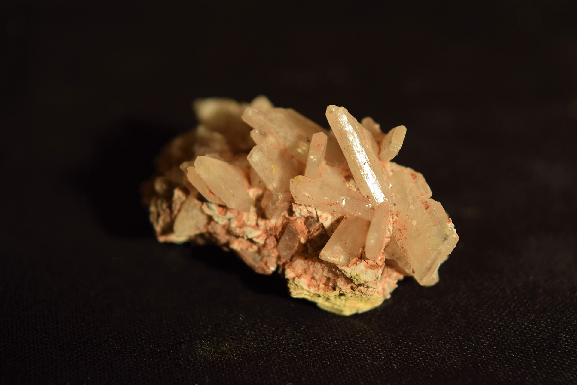 Selenite mineral specimen — Dense cluster of Gypsum var. Selenite crystals found in Sandoval County, New Mexico