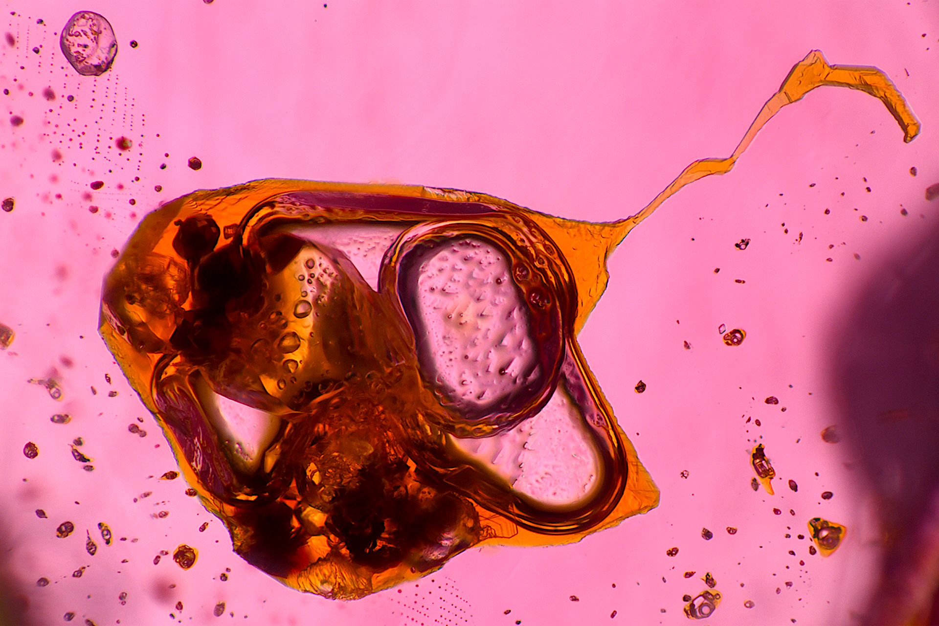 Spinel gemstone mineral specimen — Multi-phase inclusions in a gem spinel. In gemology, inclusions in gemstones are very important for 