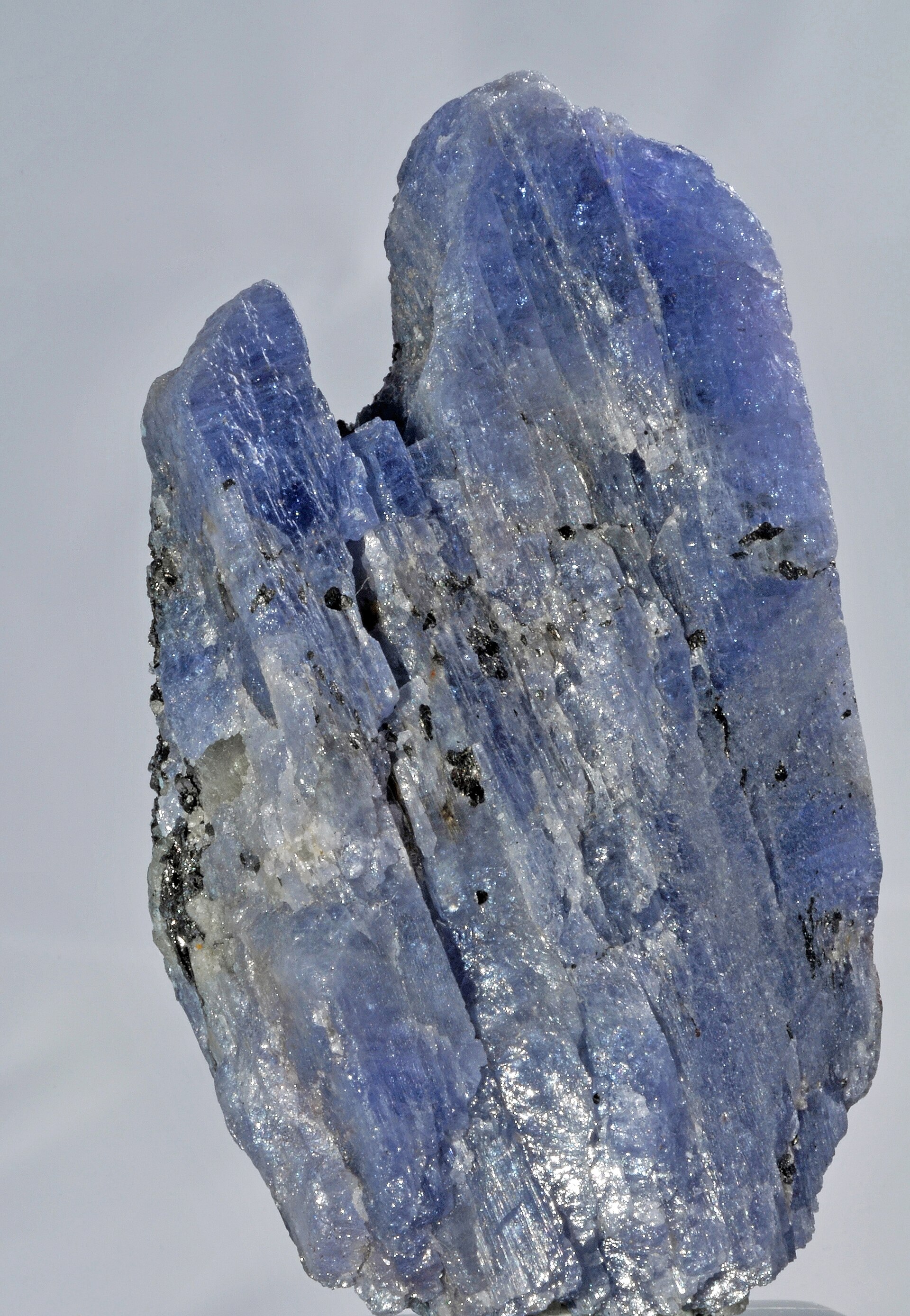 Tanzanite mineral specimen — crystals of zoisite var. tanzanite : Merelani Hills (Mererani), Lelatema Mts, Arusha Region, Tanzani
