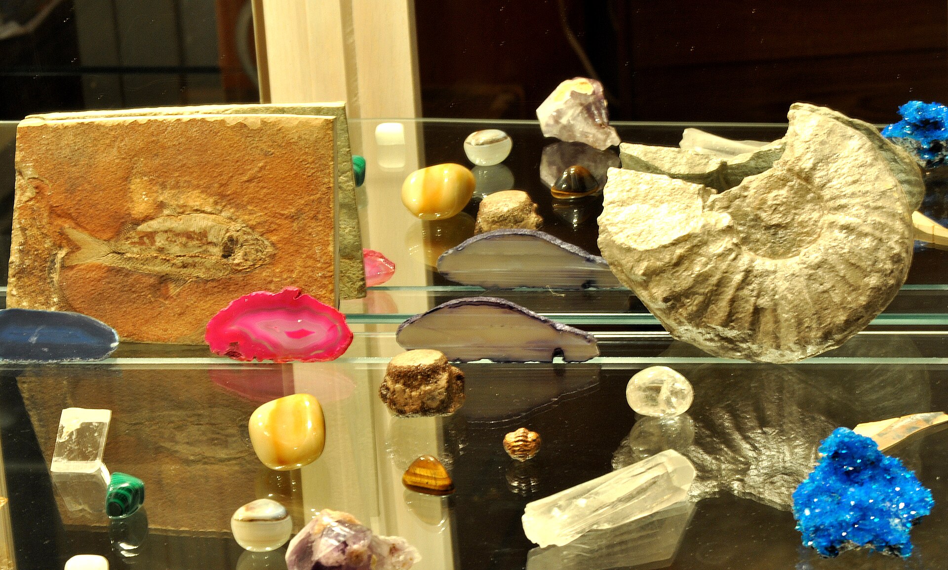 Tiger eye mineral specimen — My mineral collection. Back row, left to right: Agate, Fish fossil, two agates, ammonite fossil. Mid